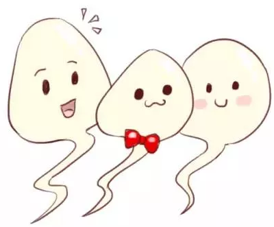 重庆送子鸟医院