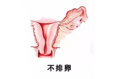 重庆送子鸟医院