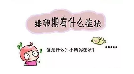 重庆送子鸟医院