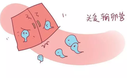 重庆送子鸟医院