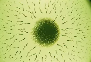 重庆送子鸟医院