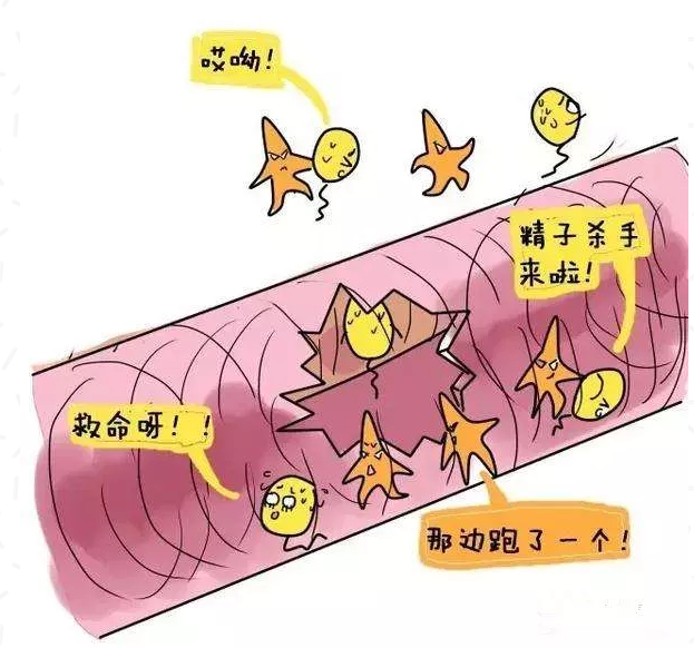 重庆送子鸟医院