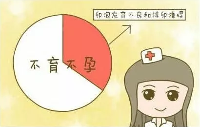 重庆送子鸟医院