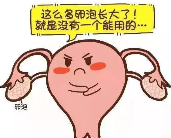 重庆送子鸟医院